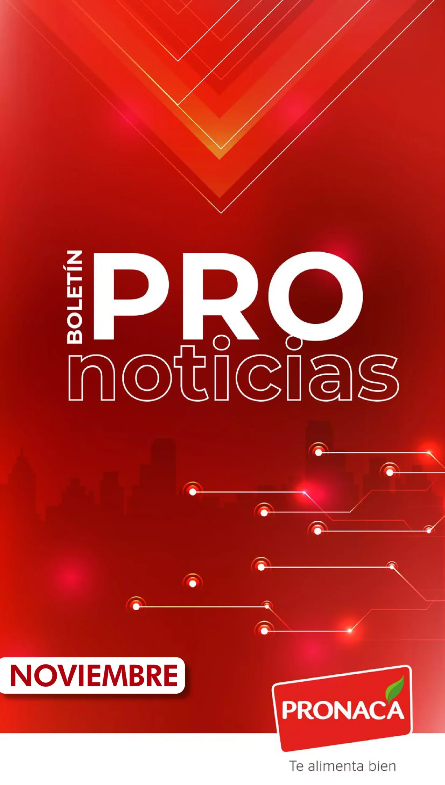 PRONOTICIAS NOVIEMBRE-01