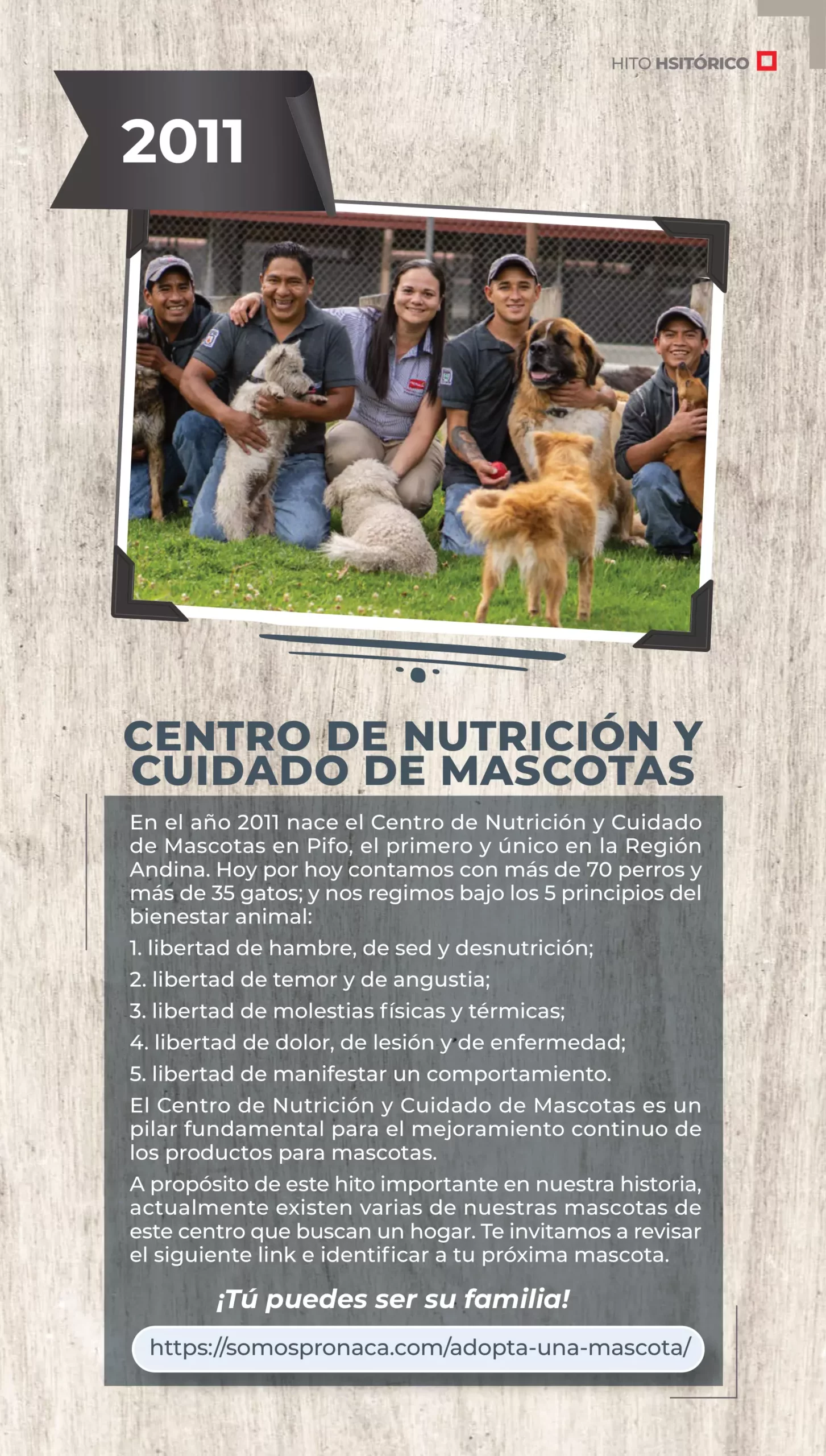 PRONOTICIAS NOVIEMBRE-04