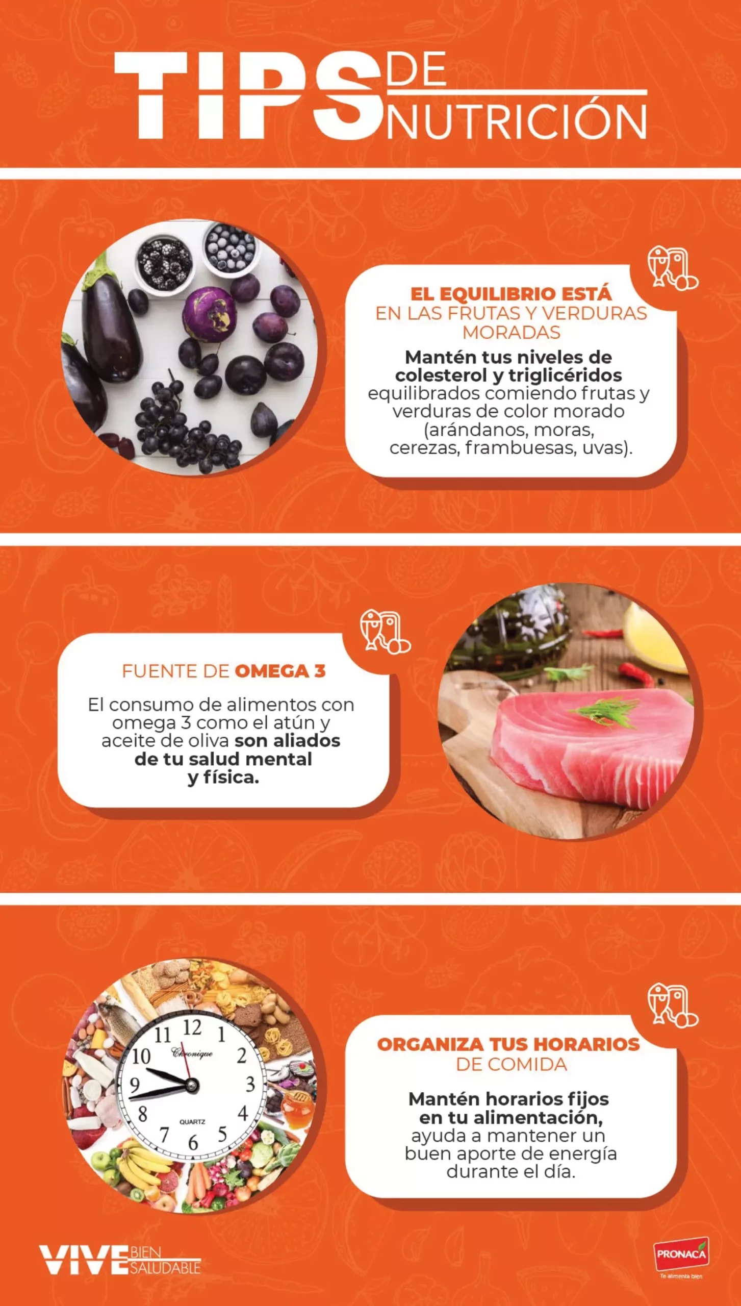 PRONOTICIAS NOVIEMBRE-17