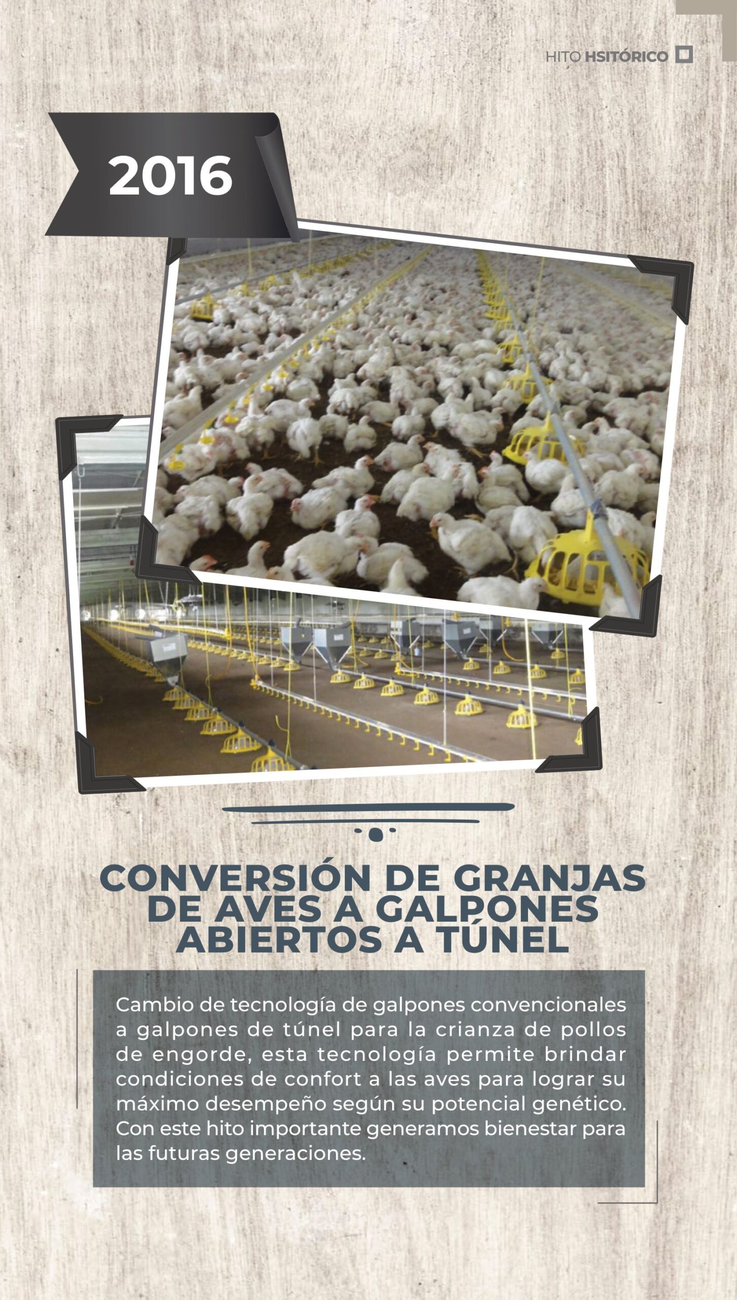 PRONOTICIAS ENERO24-04-min